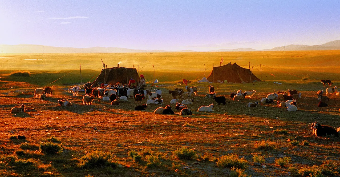 FULL DAY ACCLIMATIZATION AT SAGA, B/L/D